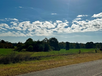 Land for sale Samson, AL - image 40