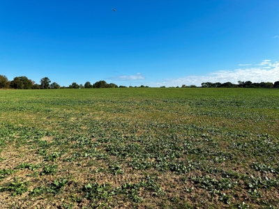 Land for sale Samson, AL - image 37
