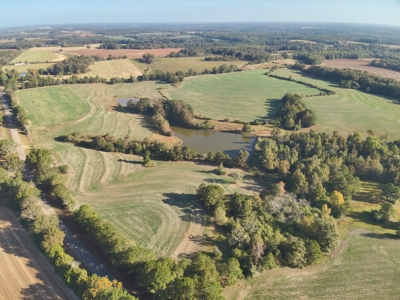 Land for sale Samson, AL - image 9