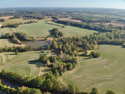 Land for sale Samson, AL - image 10