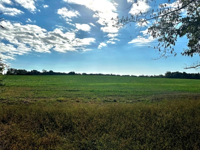 Land for sale Samson, AL - image 34