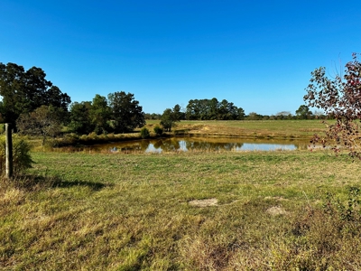 Land for sale Samson, AL - image 36