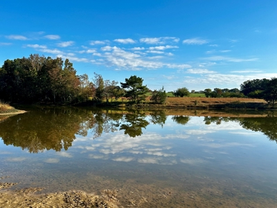 Land for sale Samson, AL - image 18