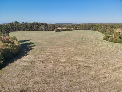 Land for sale Samson, AL - image 24