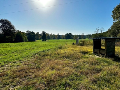 Land for sale Samson, AL - image 12