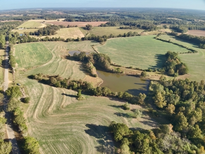 Land for sale Samson, AL - image 5