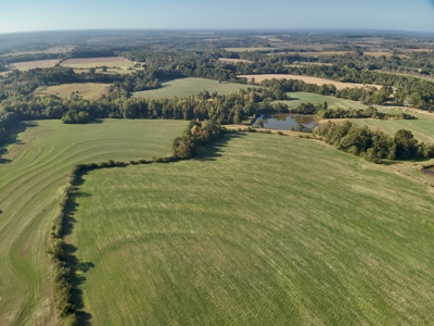 Land for sale Samson, AL - image 13