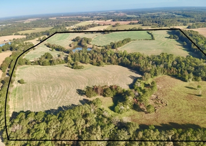 Land for sale Samson, AL - image 46