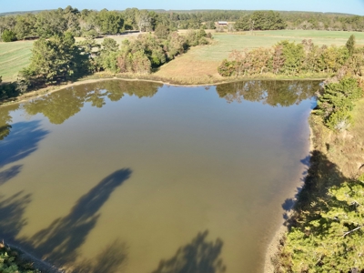 Land for sale Samson, AL - image 20