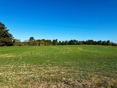 Land for sale Samson, AL - image 31