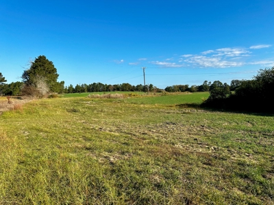 Land for sale Samson, AL - image 11