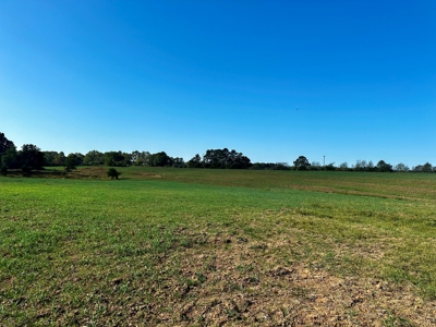 Land for sale Samson, AL - image 33