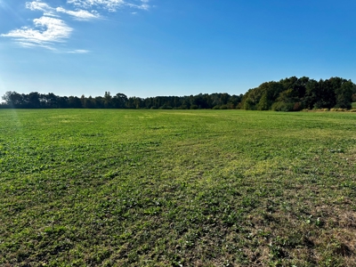 Land for sale Samson, AL - image 35