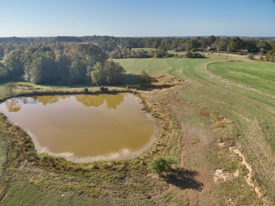Land for sale Samson, AL - image 16