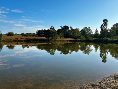 Land for sale Samson, AL - image 19