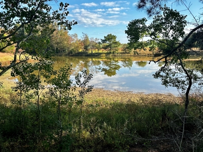 Land for sale Samson, AL - image 15