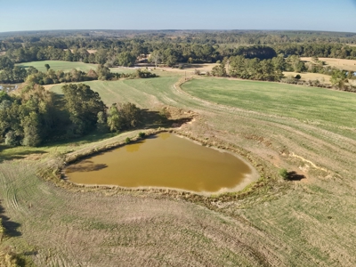 Land for sale Samson, AL - image 17