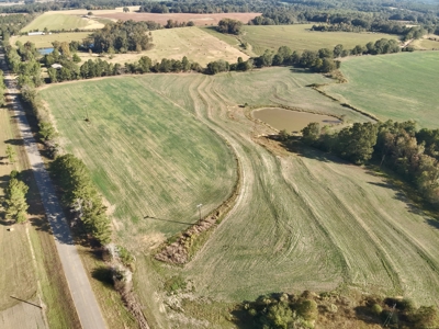 Land for sale Samson, AL - image 28