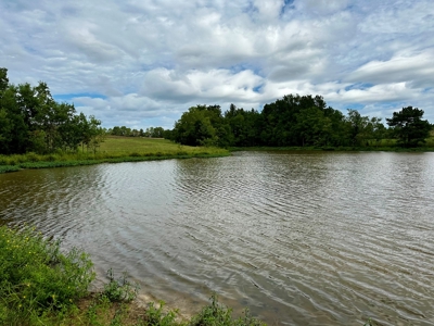 Land for sale Samson, AL - image 47