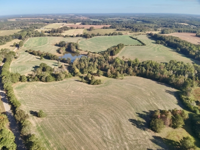 Land for sale Samson, AL - image 23