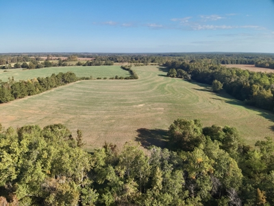 Land for sale Samson, AL - image 25