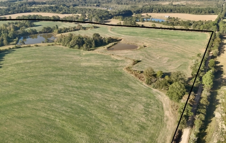 Land for sale Samson, AL - image 45