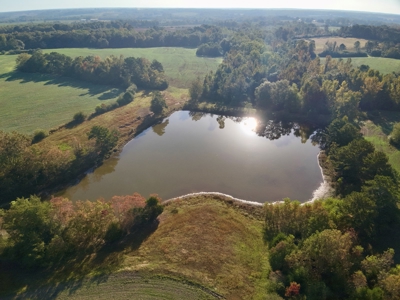 Land for sale Samson, AL - image 1