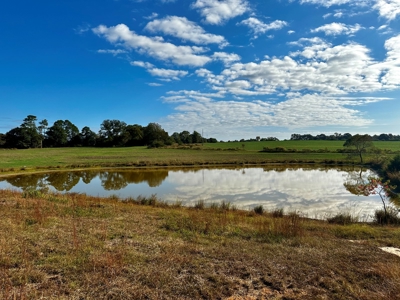 Land for sale Samson, AL - image 32