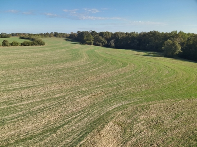 Land for sale Samson, AL - image 27