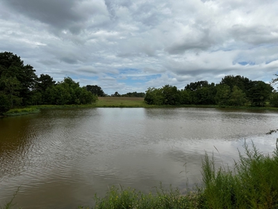 Land for sale Samson, AL - image 48