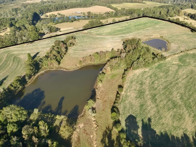 Land for sale Samson, AL - image 44