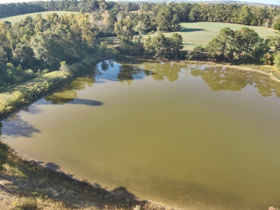 Land for sale Samson, AL - image 21