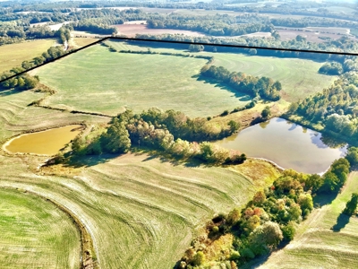 Land for sale Samson, AL - image 43