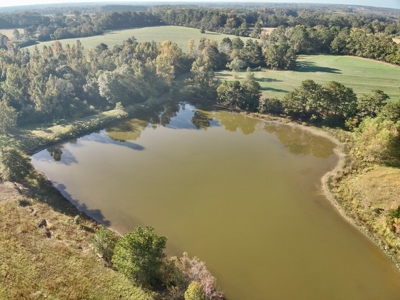 Land for sale Samson, AL - image 3