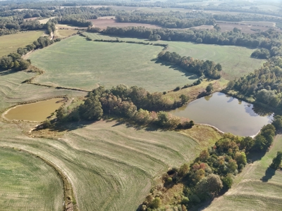 Land for sale Samson, AL - image 29