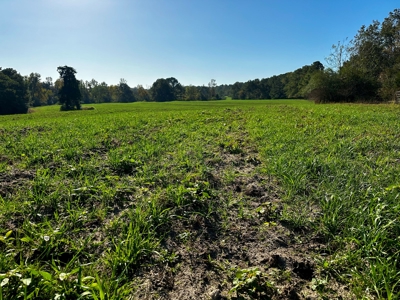 Land for sale Samson, AL - image 30