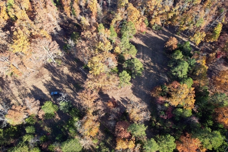 Land For Sale In Shannon County Missouri That Borders State - image 15