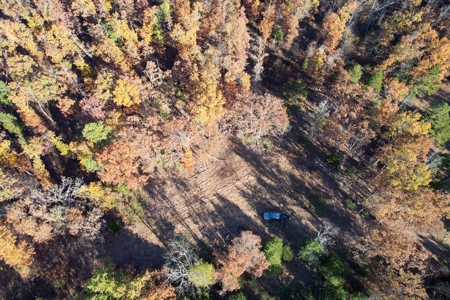 Land For Sale In Shannon County Missouri That Borders State - image 14