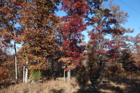 Land For Sale In Shannon County Missouri That Borders State - image 13