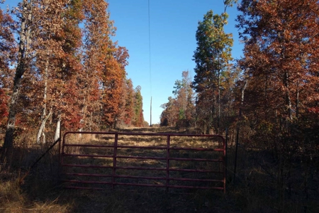Land For Sale In Shannon County Missouri That Borders State - image 1