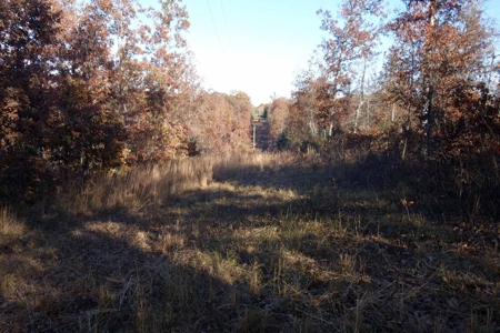 Land For Sale In Shannon County Missouri That Borders State - image 12
