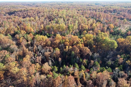 Land For Sale In Shannon County Missouri That Borders State - image 20