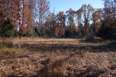 Land For Sale In Shannon County Missouri That Borders State - image 5