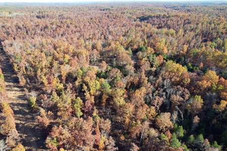 Land For Sale In Shannon County Missouri That Borders State - image 19