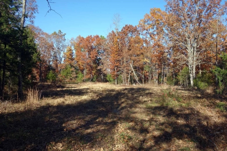 Land For Sale In Shannon County Missouri That Borders State - image 6