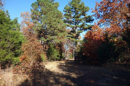 Land For Sale In Shannon County Missouri That Borders State - image 8