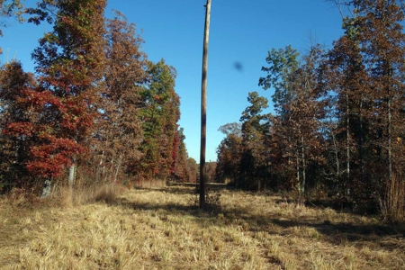 Land For Sale In Shannon County Missouri That Borders State - image 2