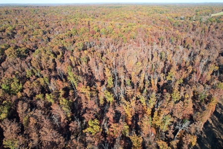 Land For Sale In Shannon County Missouri That Borders State - image 21