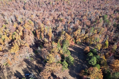 Land For Sale In Shannon County Missouri That Borders State - image 16