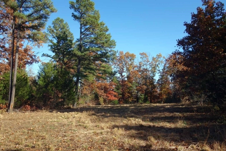 Land For Sale In Shannon County Missouri That Borders State - image 7